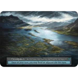 Floodplain β
