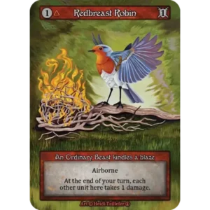 Redbreast Robin